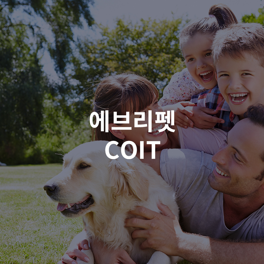 에브리펫 코잇 서비스 구축 썸네일